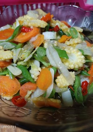 Foto resep Menu diet oseng sayur