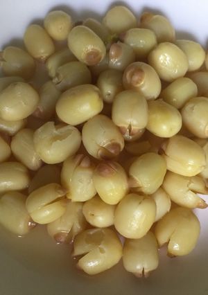 Hình của món Hạt sen luộc sữa.