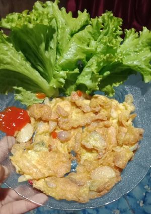 Foto resep Telur dadar enak