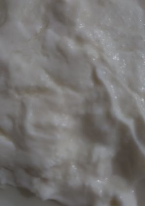 عکسی از دستور ماست خامه ای (چکیده)