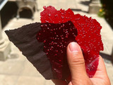 Papeles comestibles Cacao y Frambuesa