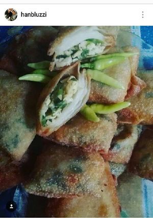 Foto resep Martabak isi Ayam Telor