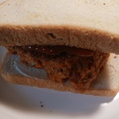 A picture of Sloppy Chicken.