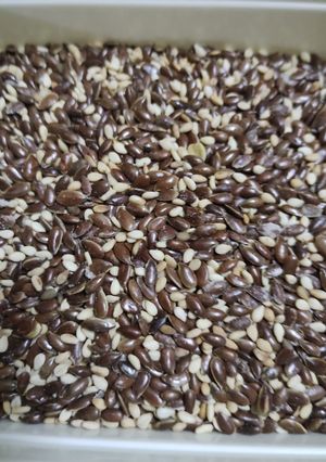 A picture of Flax seeds mukhwas.