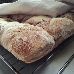 Olivebaguettes A picture of Olivebaguettes.