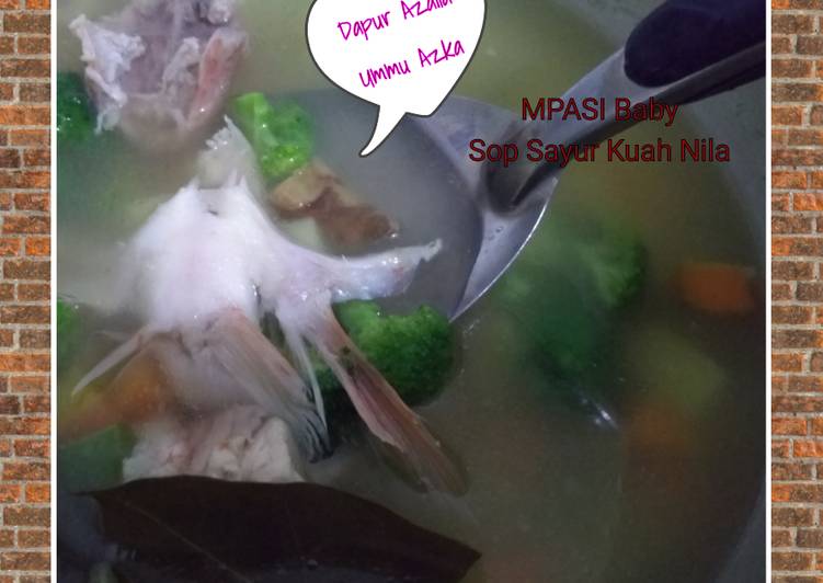 MPASI 1 tahun Sayur Sop Kuah Nila