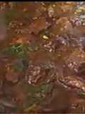 Homemade meat