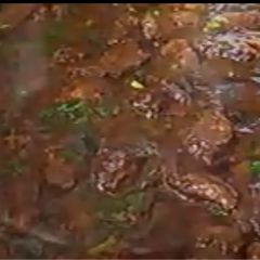 A picture of Homemade meat.