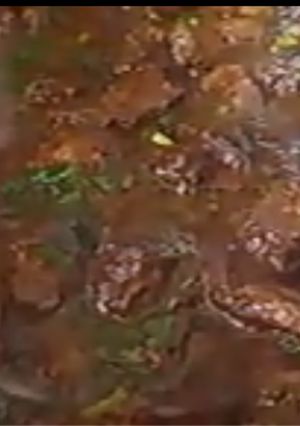 A picture of Homemade meat.
