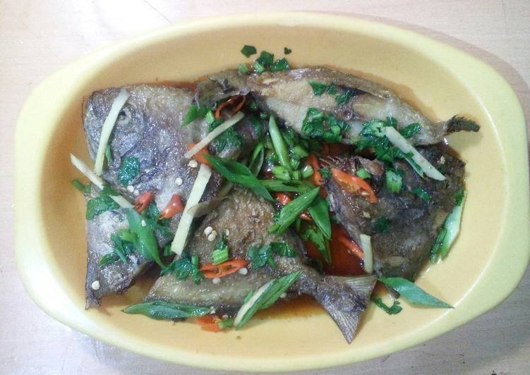 Ikan Kukus bawal hitam