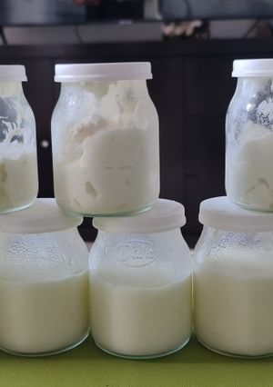 Una foto de Yogurt descremado FIRME y GRIEGO Sin máquina y con 3 ingredientes! Fácil y Económicos... 2 en 1!