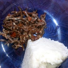 A picture of Ugali and Omena.