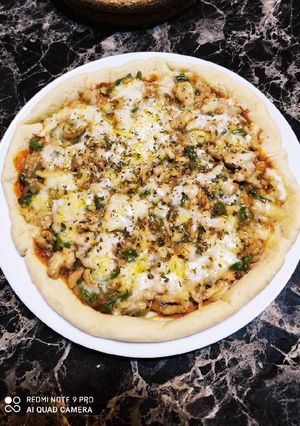A picture of Pan pizza 🍕.