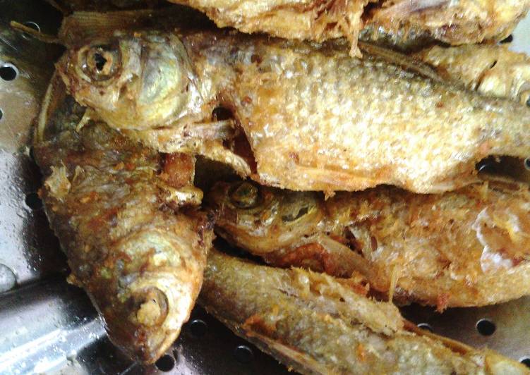 Cara Menyiapkan Wader goreng Anti Gagal