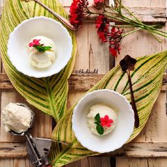 A picture of Vanilla ice cream.