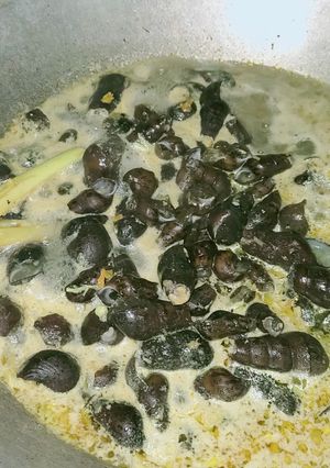 Foto resep Tengkuyung (Siput Sungai) Asam Pedas