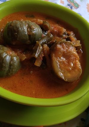 Foto resep Lodeh terong hijau