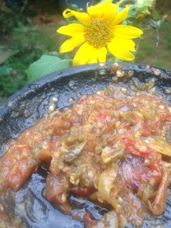 Foto resep Sambel terasi