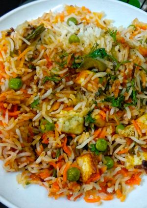 A picture of Veg Paneer Biryani.