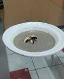Crema de Champiñones