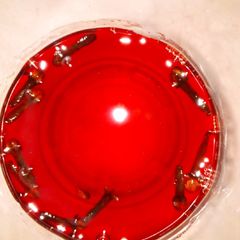 A picture of Home made grenadine syrup.