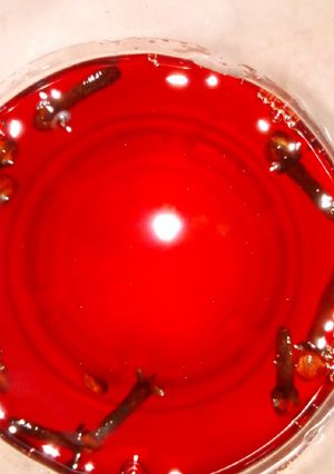 A picture of Home made grenadine syrup.