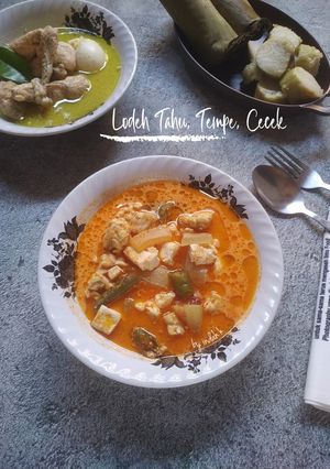 Foto resep Lodeh Tahu, Tempe, Cecek