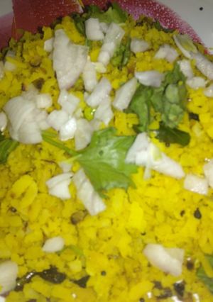 A picture of Onion Pohu.