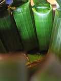 Arem-arem