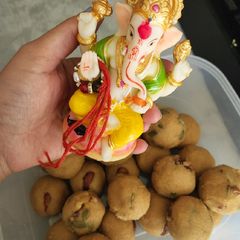 A picture of Atta pinni.