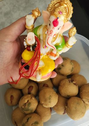 A picture of Atta pinni.