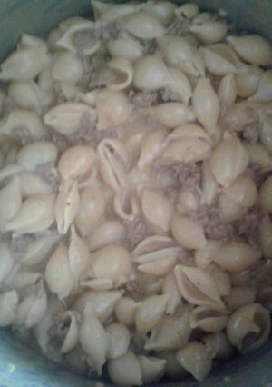 A picture of Home made cheeseburger macaroni hamburger helper.