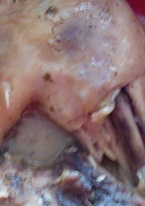 Foto principal de Pollo al ajillo con limón en el microondas