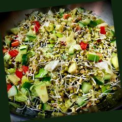 A picture of Sprout Salad.