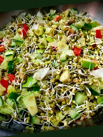 Easy Steps Prepare|Recipe} Sprout Salad the Delicious