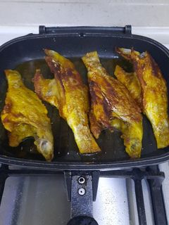 عکسی از دستور ماهی جنوب
