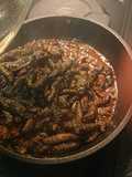 Mopane worms