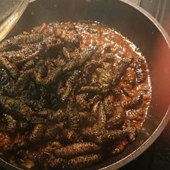 A picture of Mopane worms.