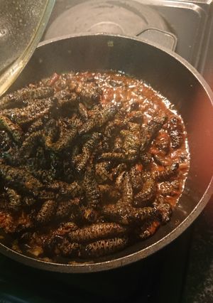 A picture of Mopane worms.