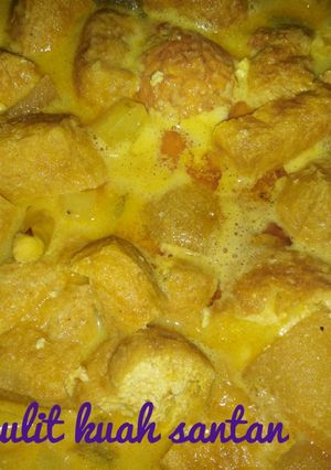 Foto resep Tahu kulit kuah santan