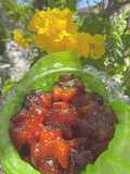 Candied Kumquats