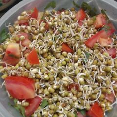 A picture of Sprouts salad.