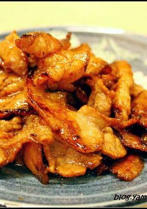日式烤肉丼 的食譜成品照片