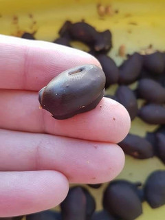Una foto de Conguitos saludables!!
