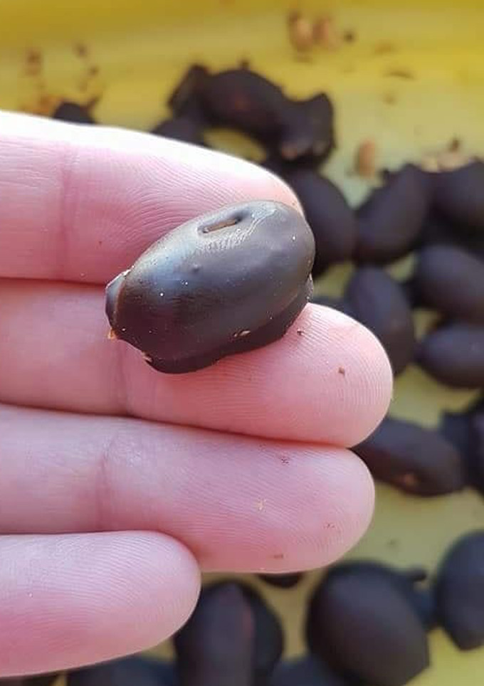 Una foto de Conguitos saludables!!