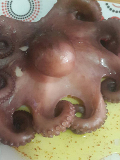 Una foto de Pulpo