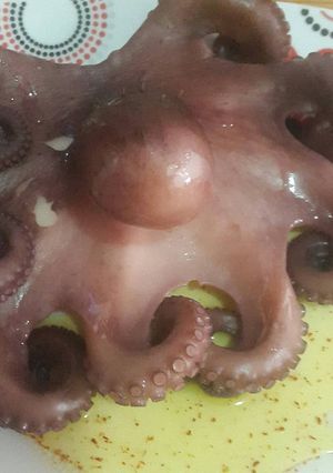 Foto principal de Pulpo