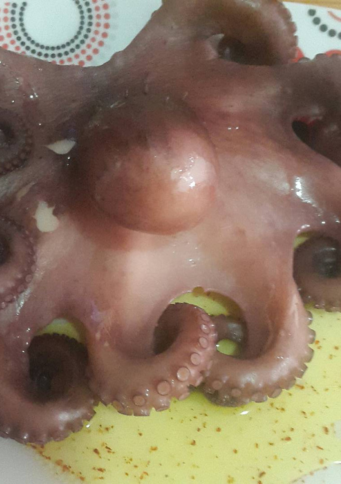 Una foto de Pulpo