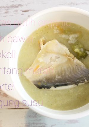 Foto resep MPASI Zoe (7+) : Bubur Ikan Bawal