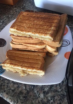 A picture of Simple toasted sandwich.